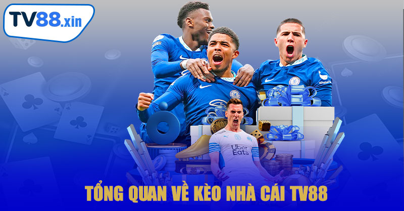 Tổng Quan Về Kèo Nhà Cái TV88